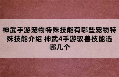 神武手游宠物特殊技能有哪些宠物特殊技能介绍 神武4手游驭兽技能选哪几个